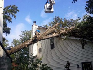 A man is working on the roof of a house.