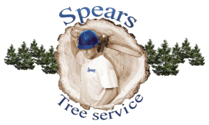 Spears Tree Service