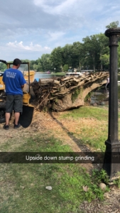 A man standing next to a tree stump.