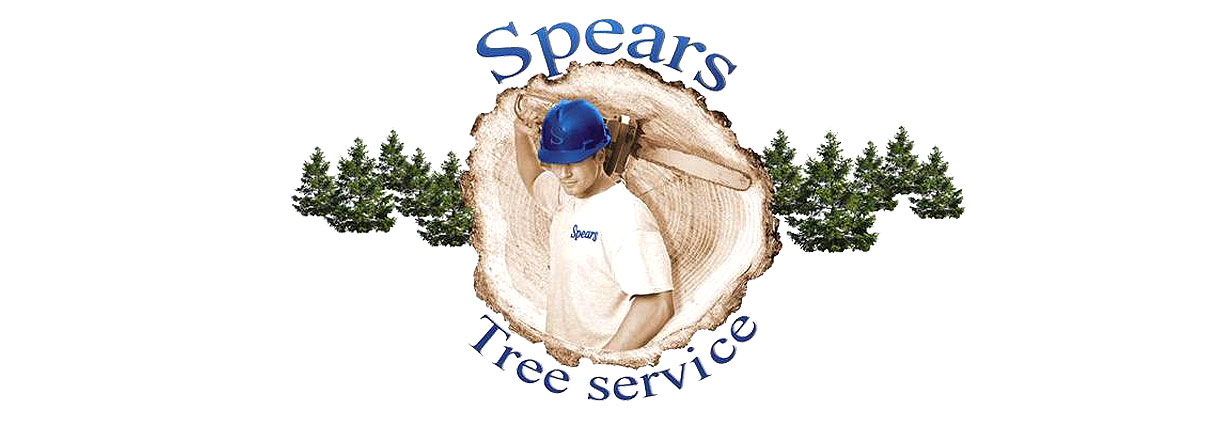 A picture of spears tree service logo.