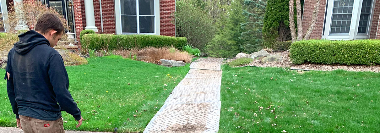 A walkway in the middle of a yard.