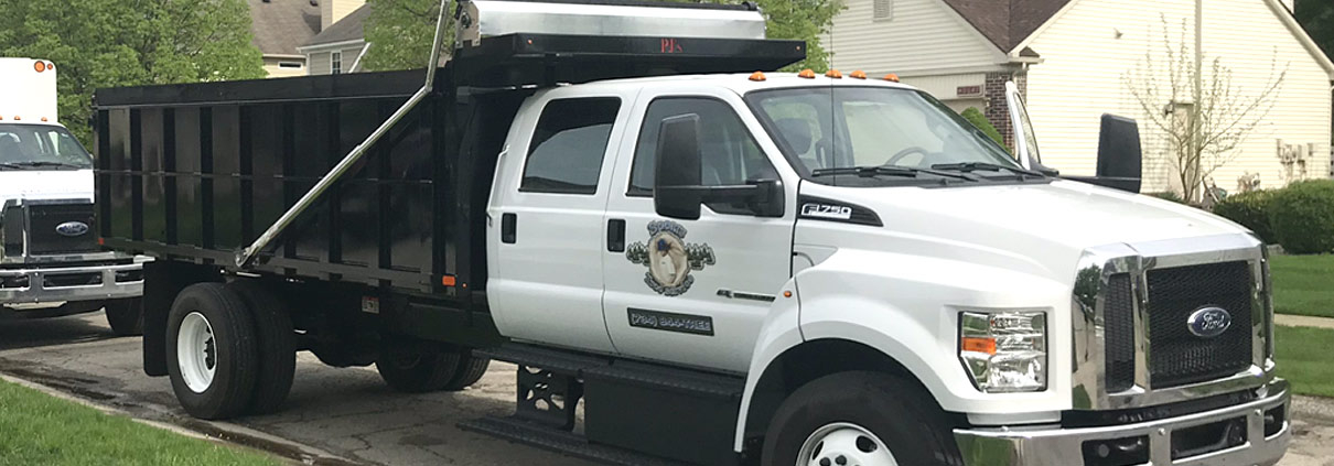 A white truck with a dog on the side of it.