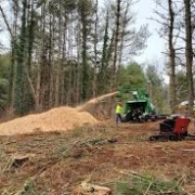 A person riding a tractor in the woods.