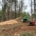 A person riding a tractor in the woods.