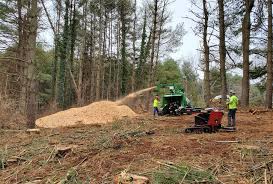 A person riding a tractor in the woods.