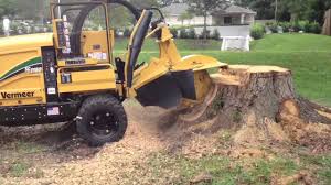 A yellow tractor is digging into the ground