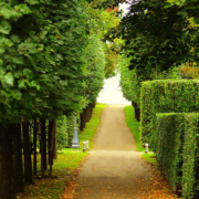 A path in the middle of an alley way.